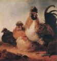 Gallo y gallinas, pintor rural Aelbert Cuyp